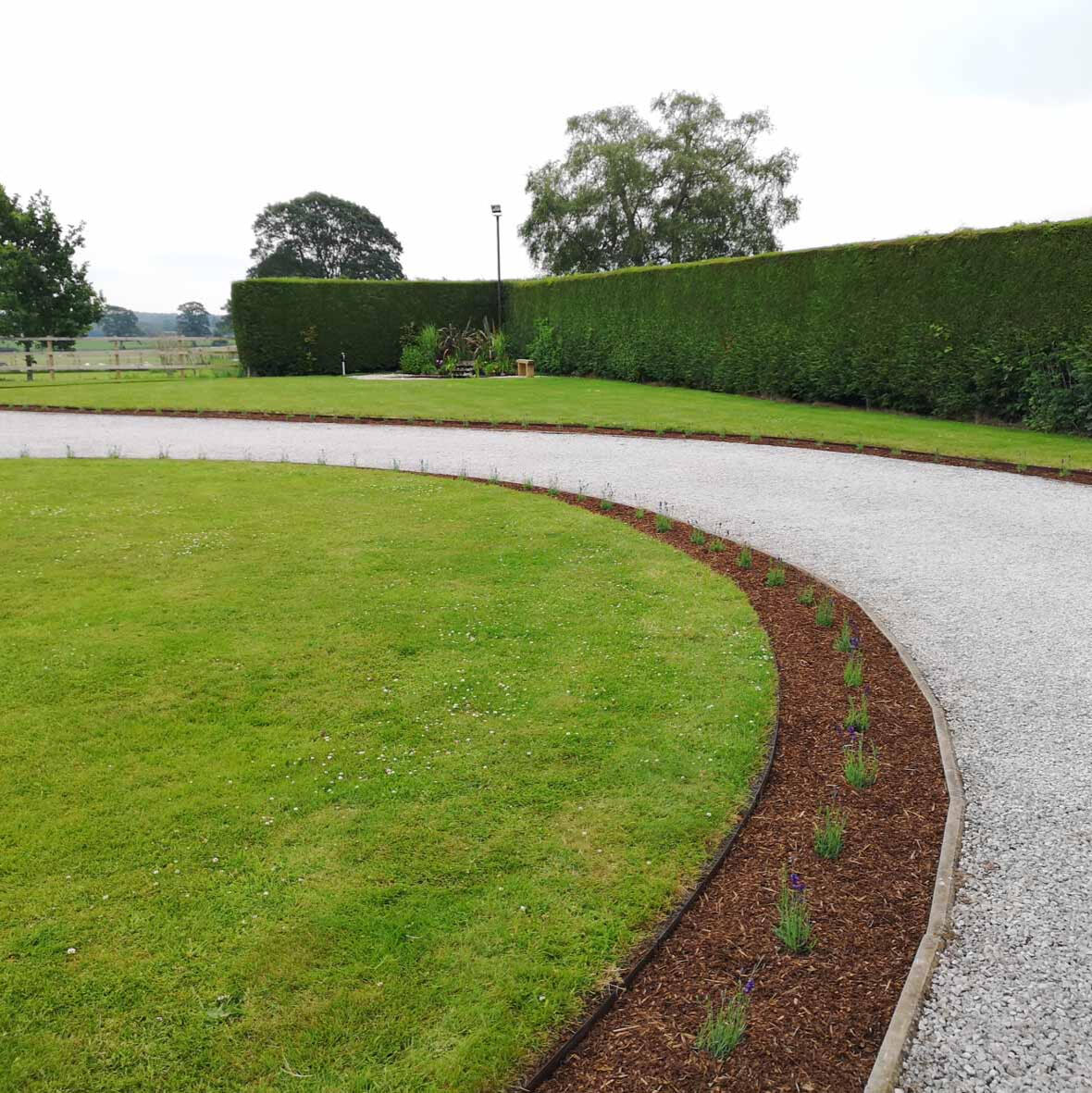 Driveway and hedge care