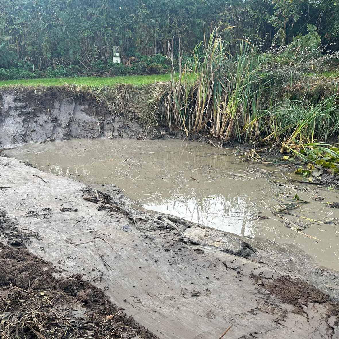 Pond clearance & maintenance