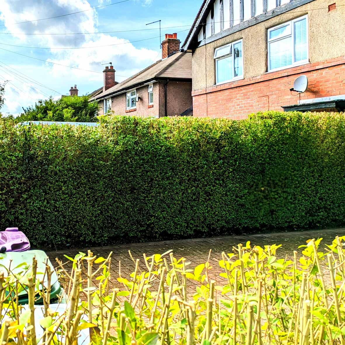 Precision hedge cutting